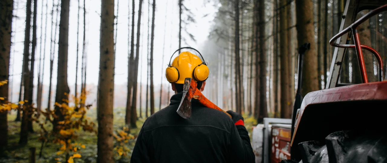 Forstwirtschaft| © KWB, LupiSpuma Ein Foerster steht mit Helm und Axt auf der Schulter im Wald