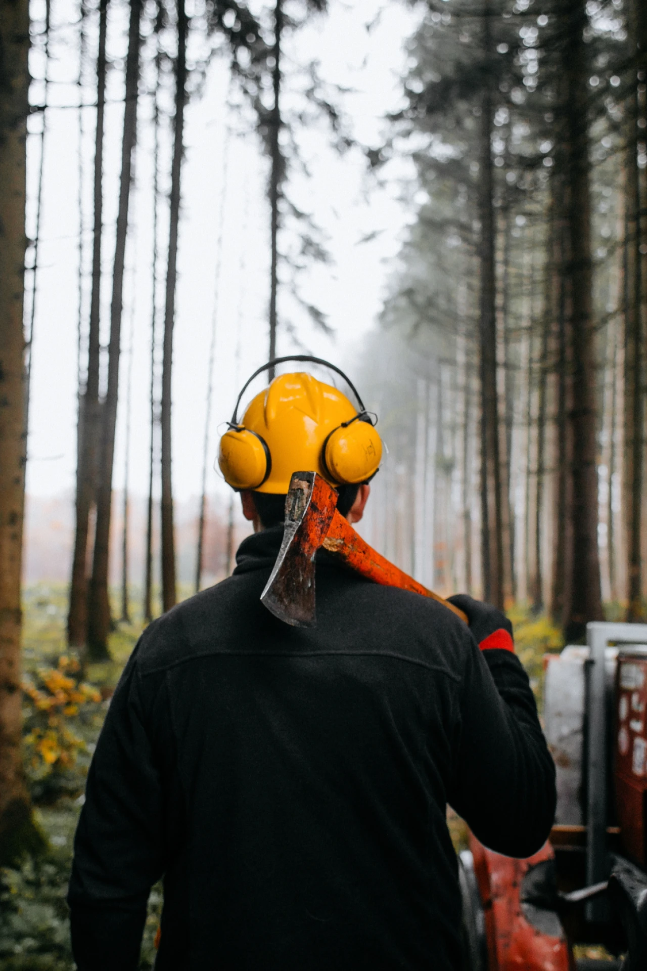 Forstwirtschaft| © KWB, LupiSpuma Ein Foerster steht mit Helm und Axt auf der Schulter im Wald