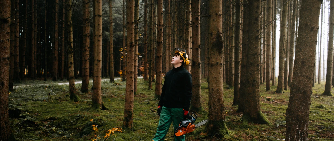 Forstwirtschaft| © KWB, LupiSpuma Ein Foerster schaut in den Wald mit Schutzhelm und Motorsaege