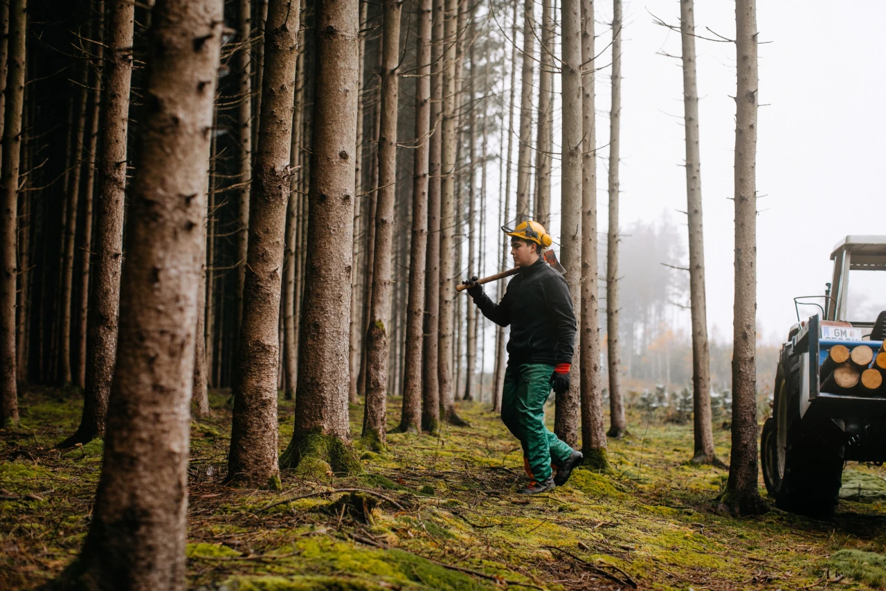 Forstwirtschaft | © KWB, LupiSpuma Ein Foerster geht mit Helm und Axt in den Wald