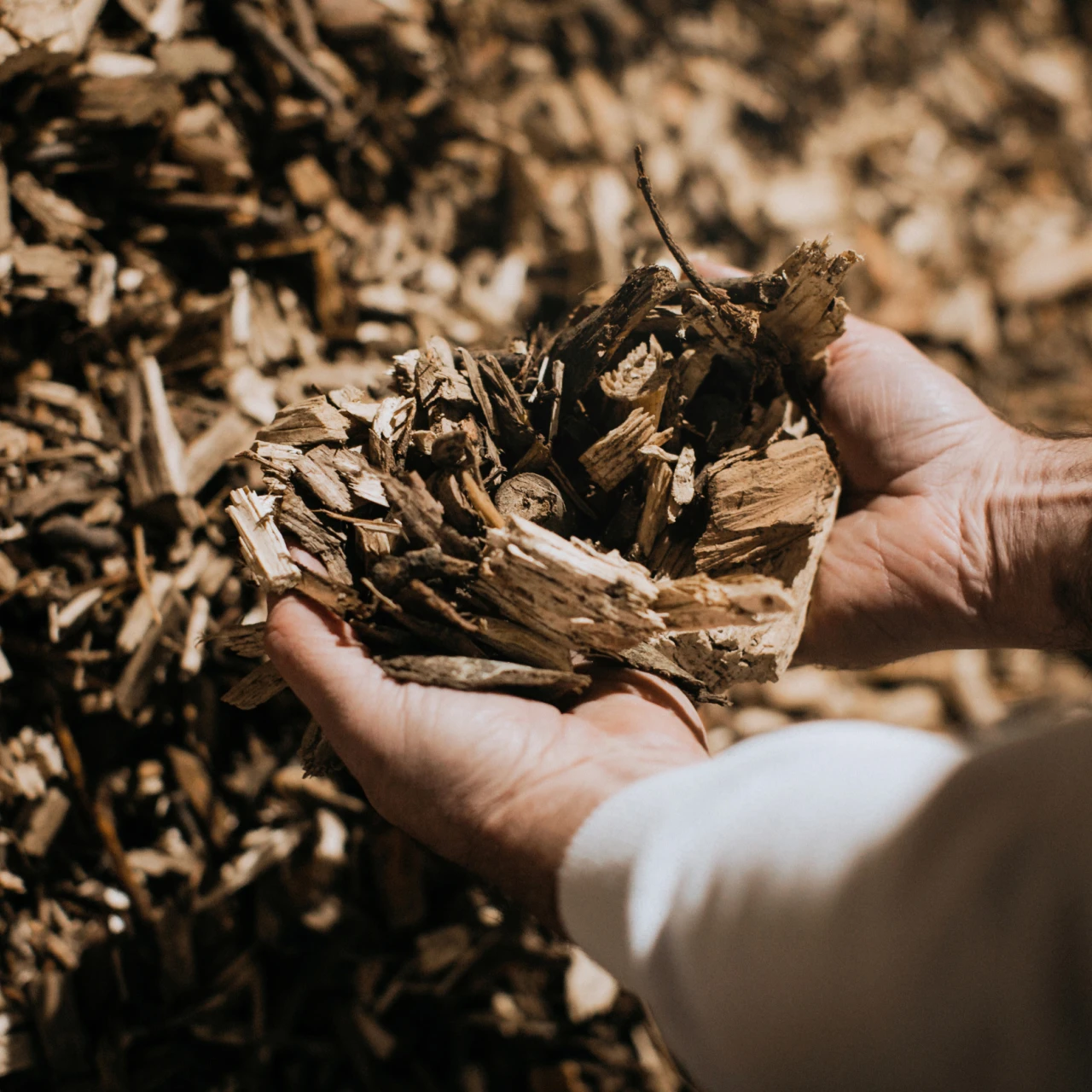 Hackschnitzel | © KWB, LupiSpuma Hier sieht man zwei Haende die Hackschnitzel halten