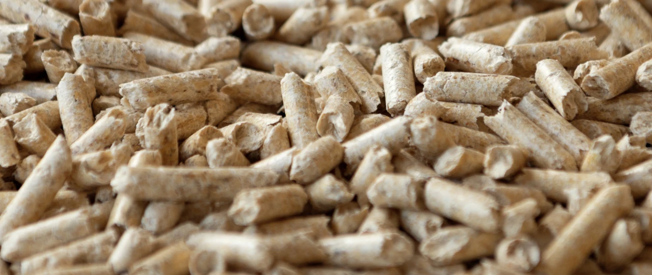 Holzpellets | © Propellets Austria Nahaufnahme von Holzpellets