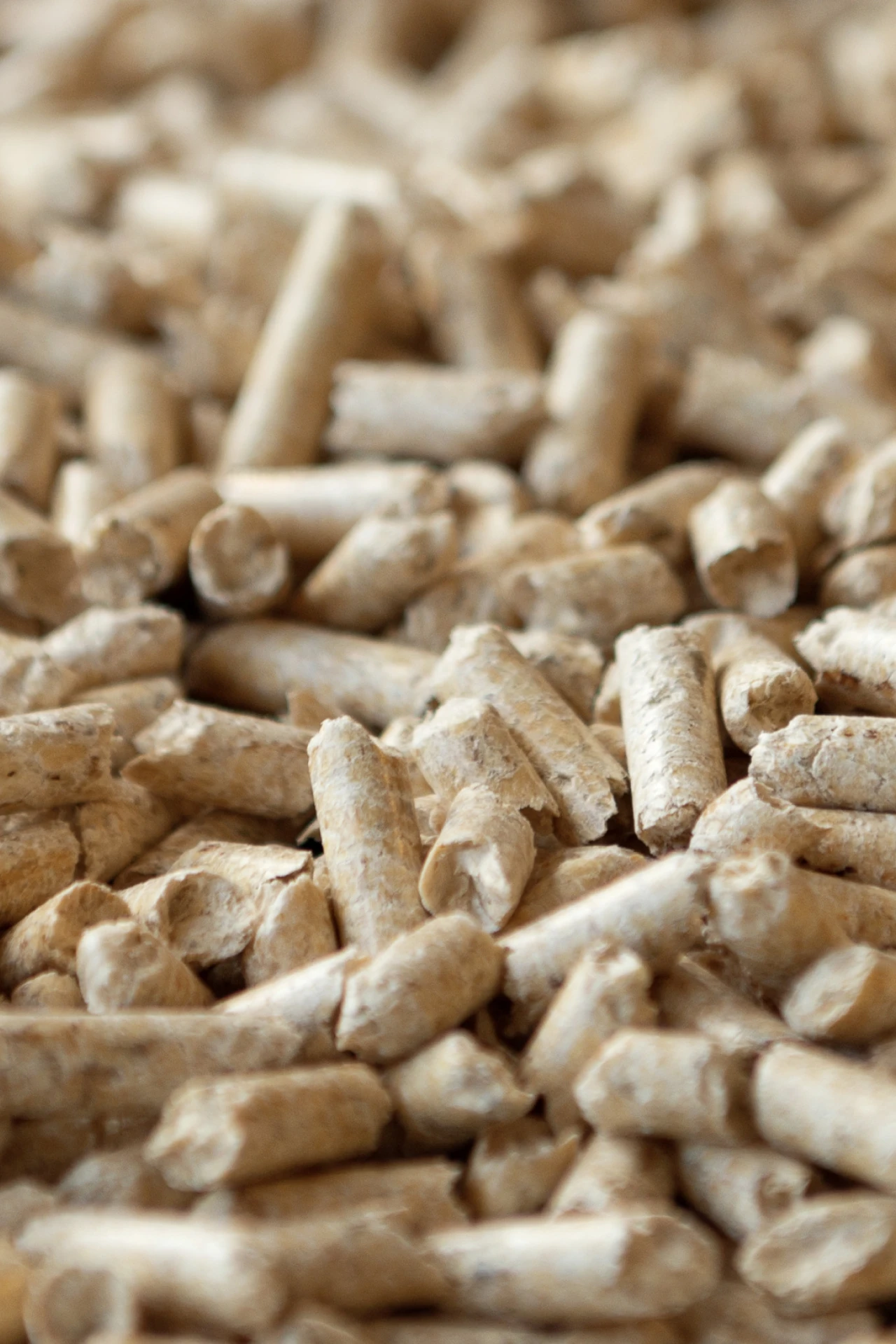 Holzpellets | © Propellets Austria Nahaufnahme von Holzpellets