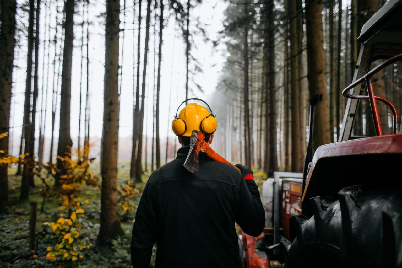 Forstwirtschaft| © KWB, LupiSpuma Ein Foerster steht mit Helm und Axt auf der Schulter im Wald