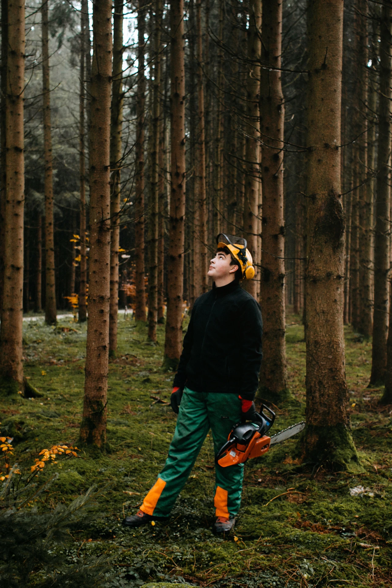 Forstwirtschaft| © KWB, LupiSpuma Ein Foerster schaut in den Wald mit Schutzhelm und Motorsaege