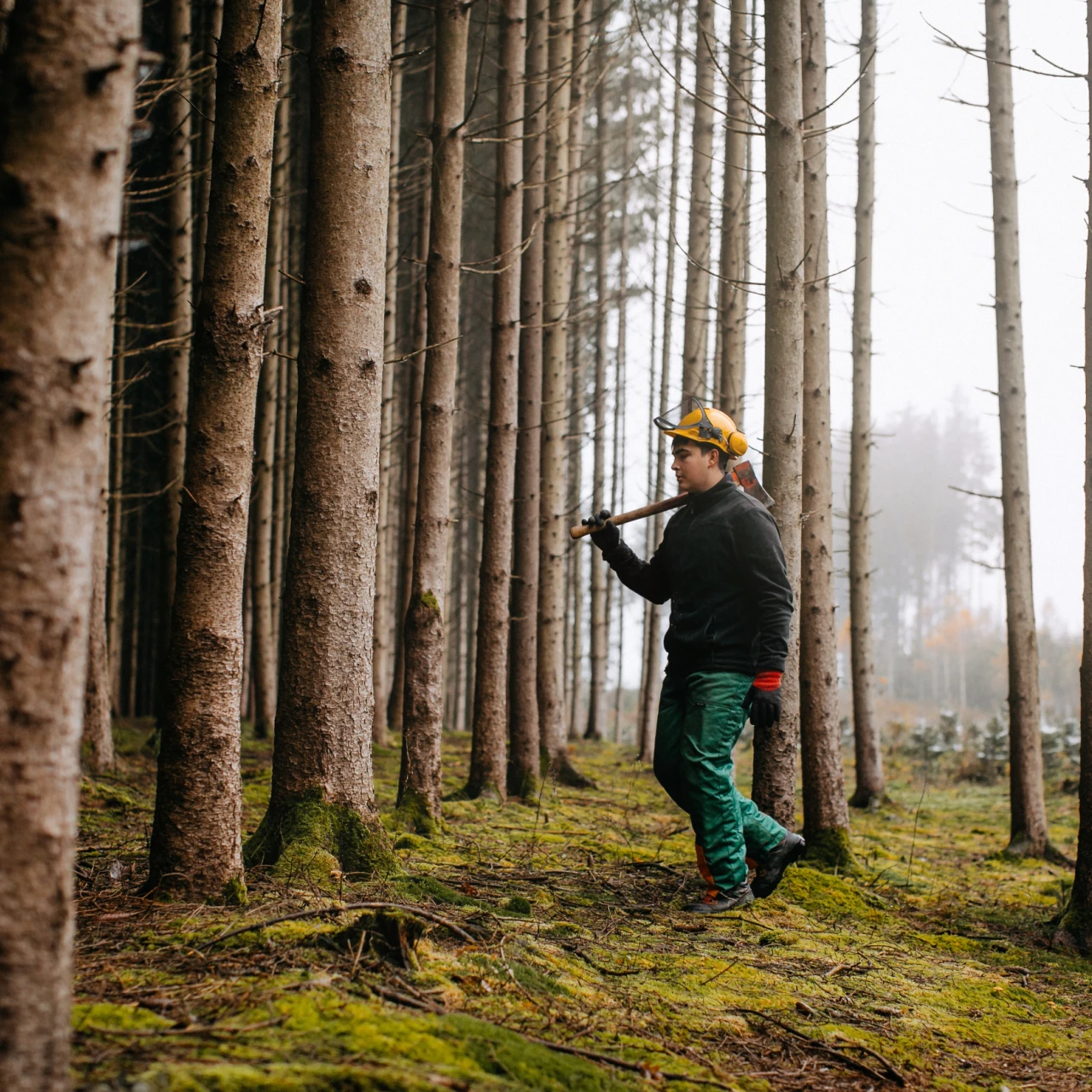 Forstwirtschaft | © KWB, LupiSpuma Ein Foerster geht mit Helm und Axt in den Wald