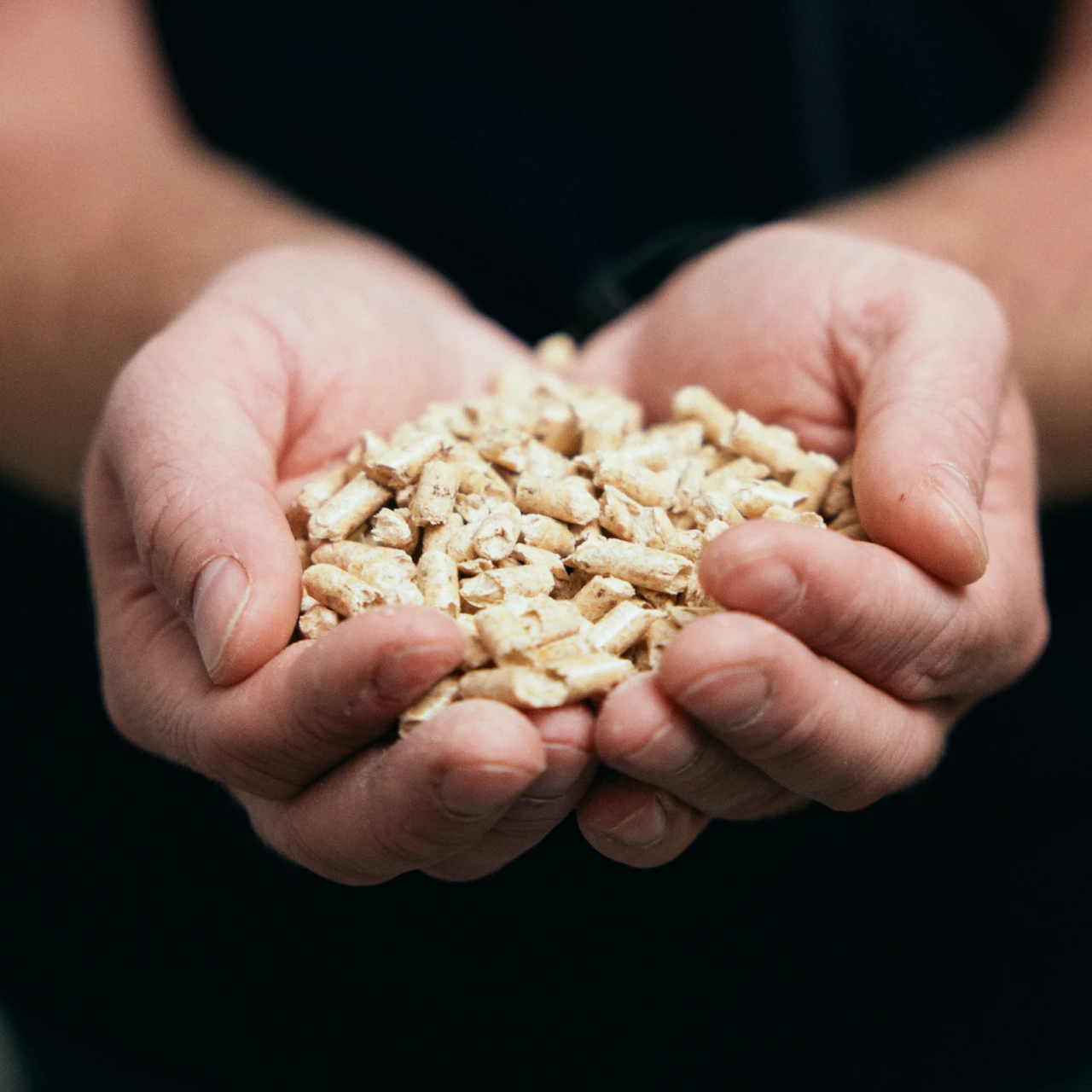 Pellets | © KWB, Raphael Nast Nahaufnahme Pellets in Haende