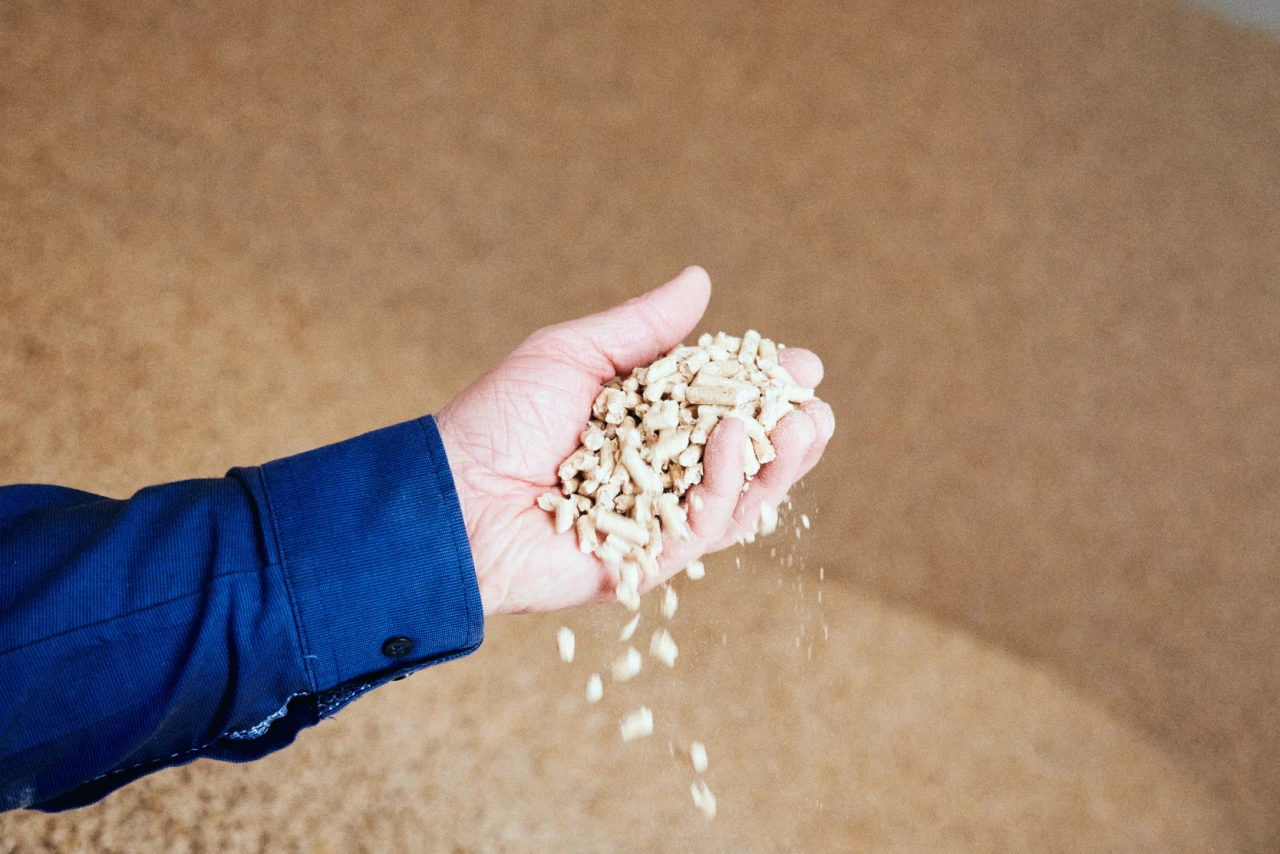 Pellets | © KWB, proPellets Hier sieht man eine Hand die Pellets haelt