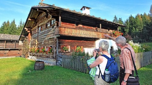 Wir verheizen anfallendes Holz, das einen sehr hohen Feinanteil hat, und zwar problemlos