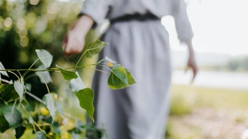 Heizung: Klimawandel und Nachhaltigkeit