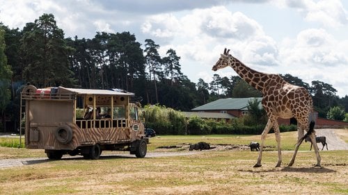 Der norddeutsche Serengeti-Freizeitpark strebt energieautarke Versorgung an